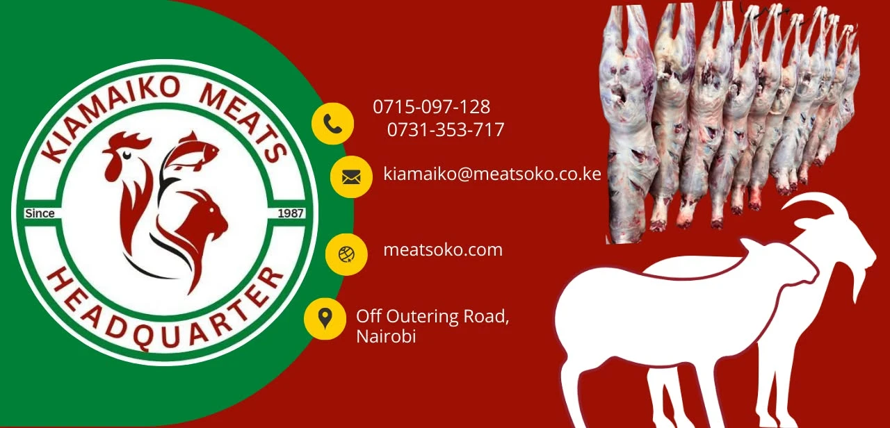 Services